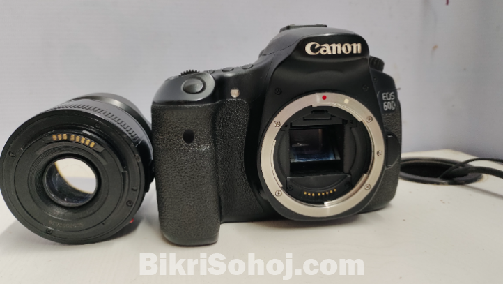 Canon 60d + 50mm Prime Lance